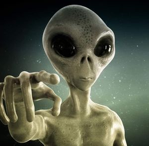 Meet your Posher, Shane